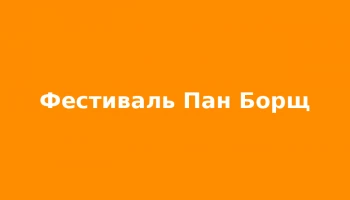 Фестиваль «Пан Борщ» у Косах зібрав понад 200 тисяч гривень для ЗСУ